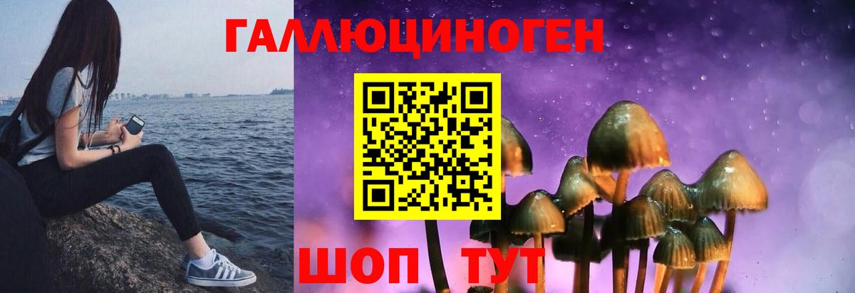 Асино  Галлюциногенные грибы Cubensis  Галлюциногенные грибы мухоморы  Вход с VPN 